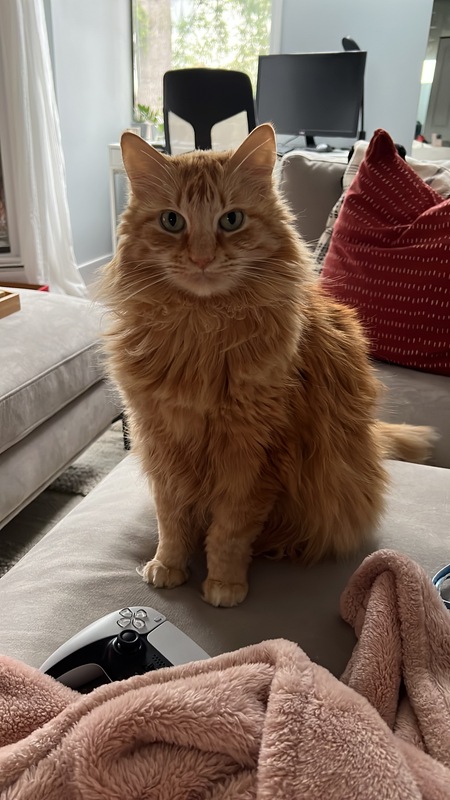 Entry image for Renly. Clicking this image will show a larger photo