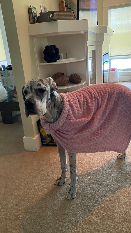 Entry image for Skyler. Clicking this image will show a larger photo