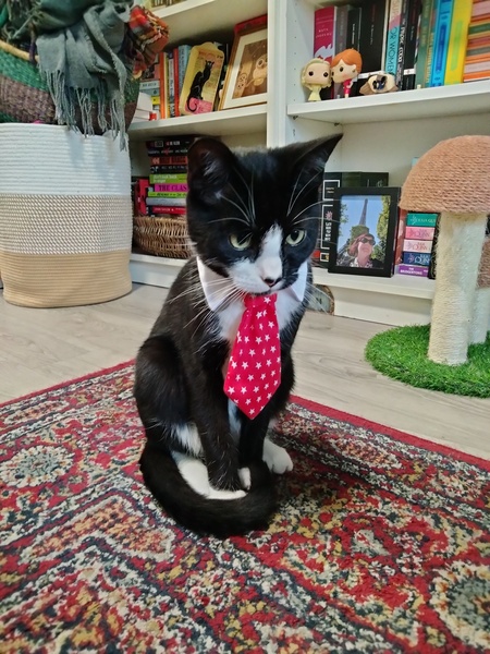 Entry image for Pete. Clicking this image will show a larger photo