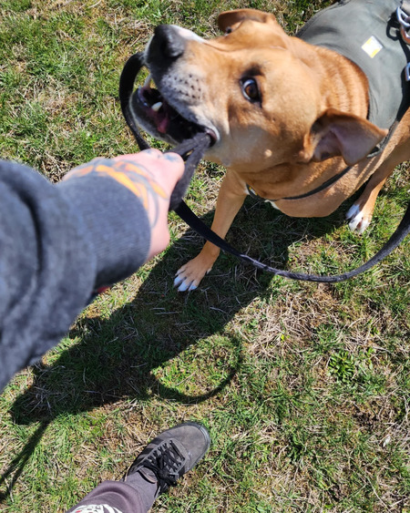 Entry image for Bobby. Clicking this image will show a larger photo