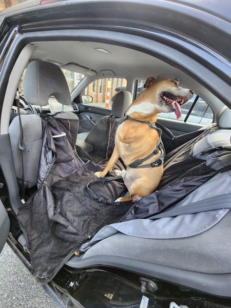 Entry image for Bobby. Clicking this image will show a larger photo