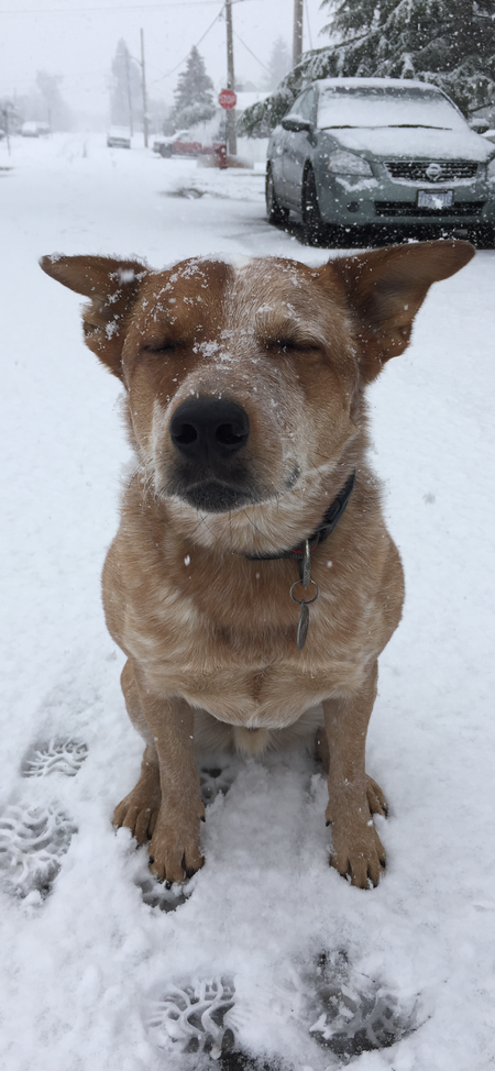 Entry image for Nixon. Clicking this image will show a larger photo