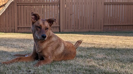 Entry image for Jake. Clicking this image will show a larger photo