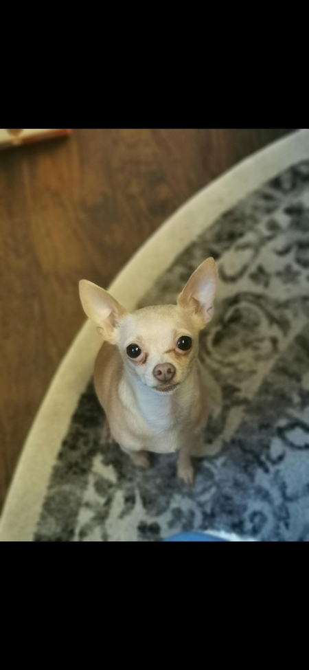 Entry image for George. Clicking this image will show a larger photo