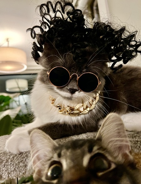 Entry image for Luca and Ollie. Clicking this image will show a larger photo