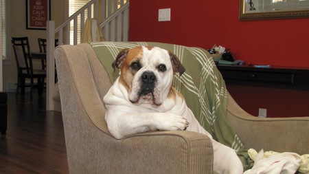 Entry image for Buford. Clicking this image will show a larger photo