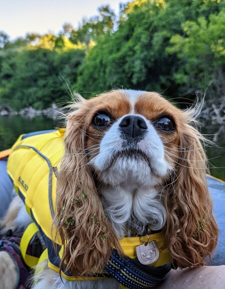 Entry image for Libby. Clicking this image will show a larger photo