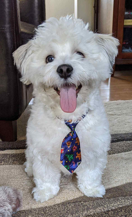 Entry image for Argo. Clicking this image will show a larger photo