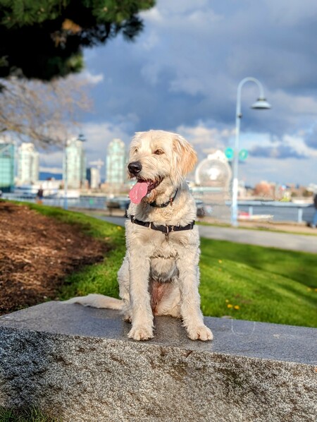 Entry image for Maaya. Clicking this image will show a larger photo