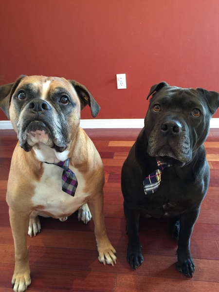 Entry image for Simon & Arthur. Clicking this image will show a larger photo