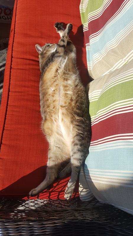 Entry image for Eva. Clicking this image will show a larger photo