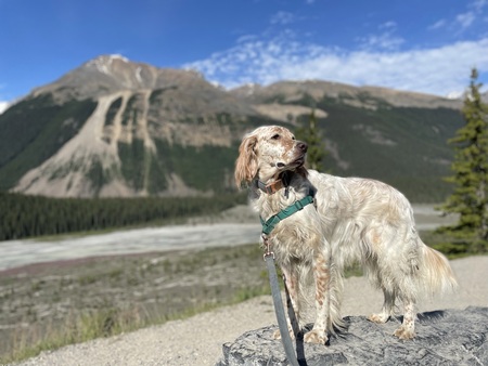 Entry image for Prime. Clicking this image will show a larger photo