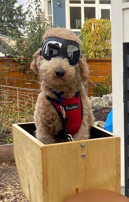 Entry image for Cleo. Clicking this image will show a larger photo