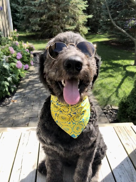 Entry image for Phoobert. Clicking this image will show a larger photo