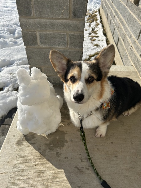 Entry image for Ladoo. Clicking this image will show a larger photo