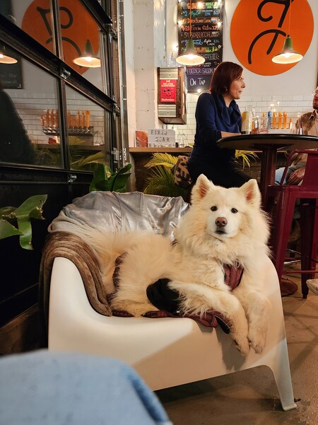 Entry image for Denver. Clicking this image will show a larger photo