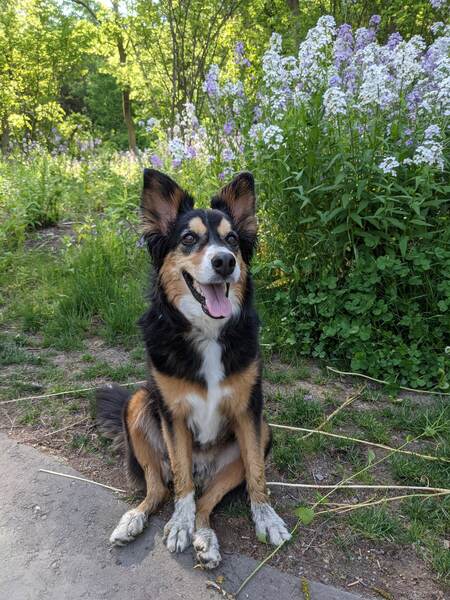 Entry image for Hallie. Clicking this image will show a larger photo