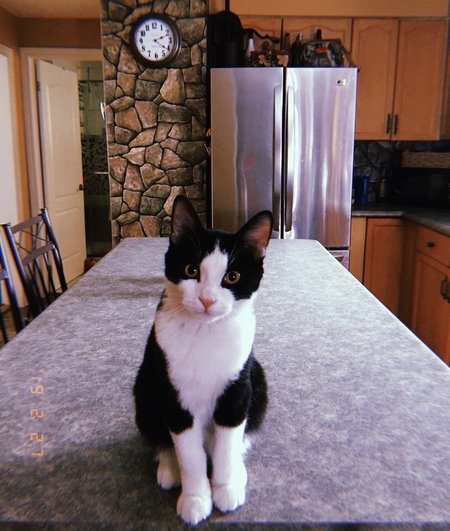 Entry image for Floyd. Clicking this image will show a larger photo