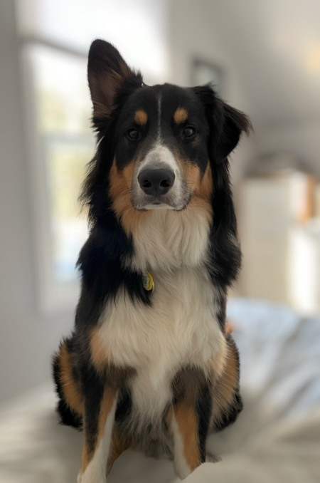 Entry image for Eddie. Clicking this image will show a larger photo