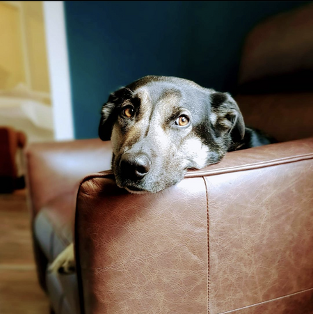 Entry image for Marty. Clicking this image will show a larger photo