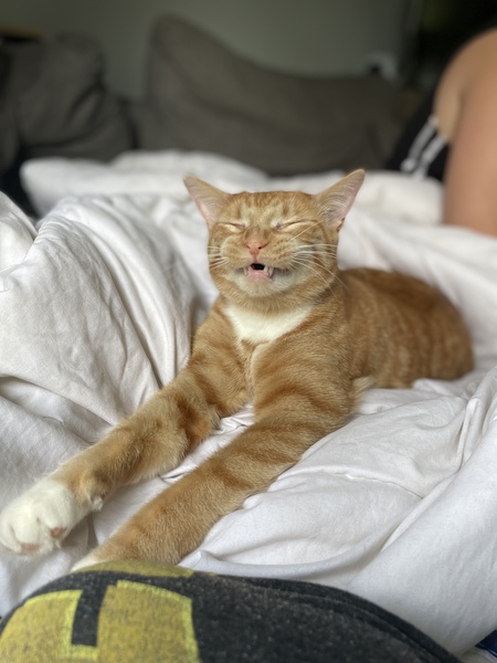 Entry image for Tormund. Clicking this image will show a larger photo