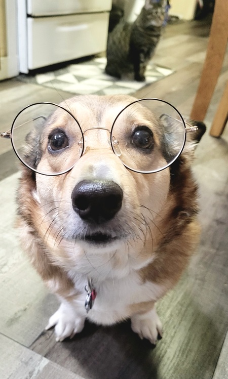 Entry image for Bridget. Clicking this image will show a larger photo