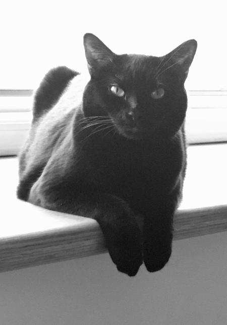 Entry image for Bonnie. Clicking this image will show a larger photo