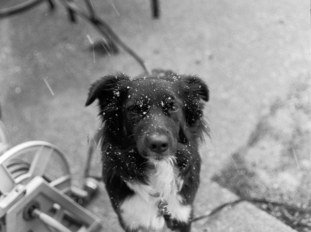 Entry image for Autumn. Clicking this image will show a larger photo