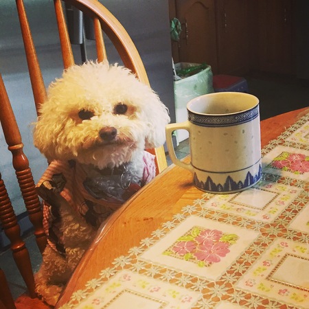 Entry image for Lou. Clicking this image will show a larger photo