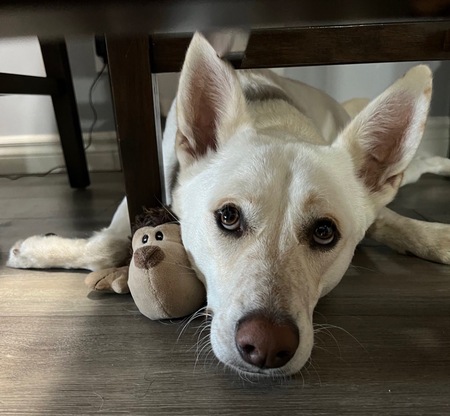 Entry image for Oakley. Clicking this image will show a larger photo