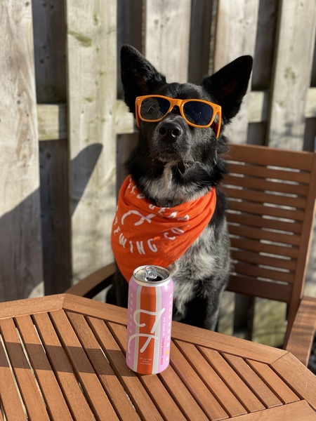 Entry image for Jake. Clicking this image will show a larger photo