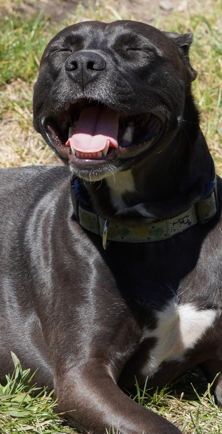 Entry image for Winter. Clicking this image will show a larger photo