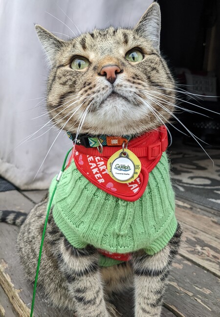 Entry image for Leonardo DiCatpurro. Clicking this image will show a larger photo