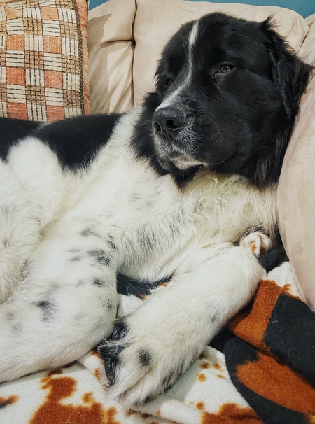 Entry image for Oslo. Clicking this image will show a larger photo