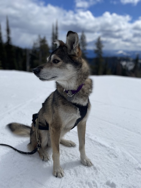 Entry image for Kayak (Carac). Clicking this image will show a larger photo