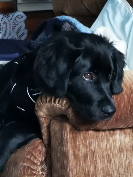 Entry image for Ben. Clicking this image will show a larger photo