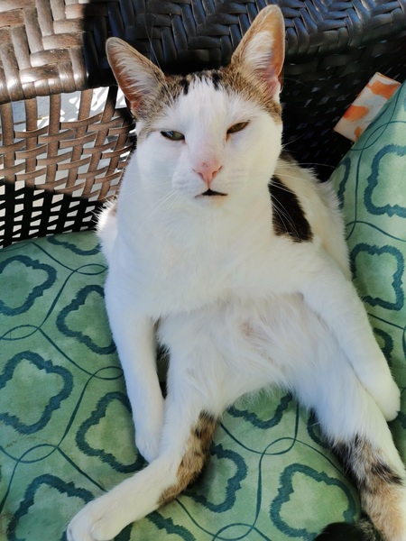 Entry image for Cray-Cray . Clicking this image will show a larger photo