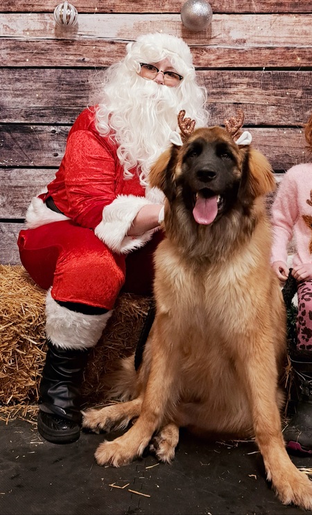 Entry image for Lilith. Clicking this image will show a larger photo