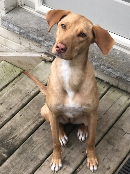 Entry image for Cali. Clicking this image will show a larger photo