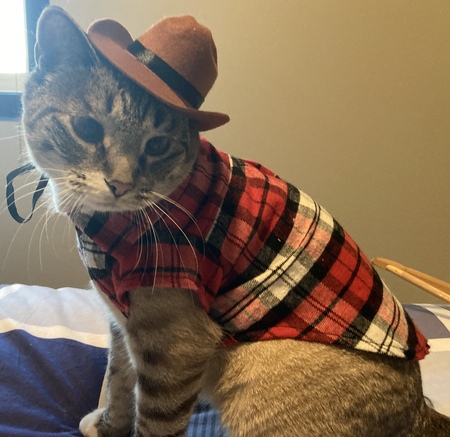 Entry image for Quin. Clicking this image will show a larger photo