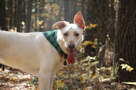 Entry image for Larry. Clicking this image will show a larger photo