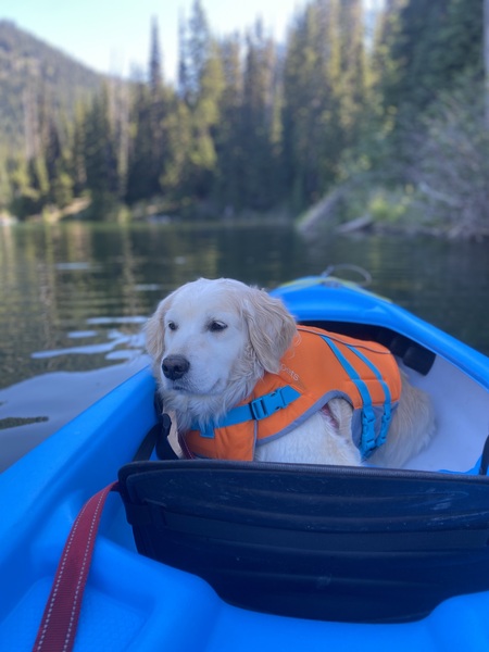 Entry image for Lolo. Clicking this image will show a larger photo