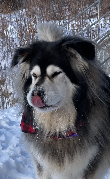 Entry image for Kita. Clicking this image will show a larger photo