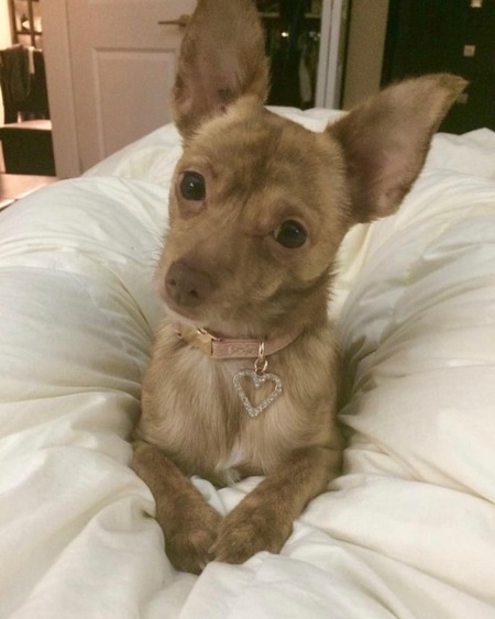 Entry image for Chloe Bell. Clicking this image will show a larger photo