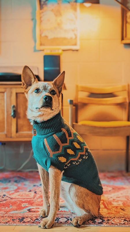 Entry image for Olive . Clicking this image will show a larger photo