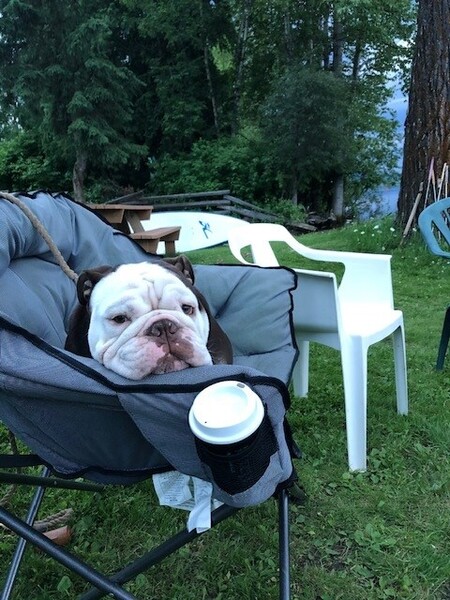 Entry image for Ralph Grumman Buchanan. Clicking this image will show a larger photo