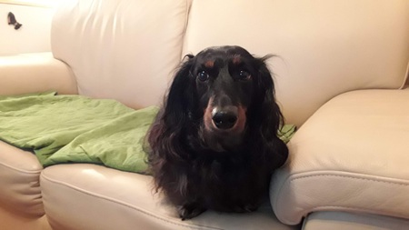 Entry image for Gusto. Clicking this image will show a larger photo