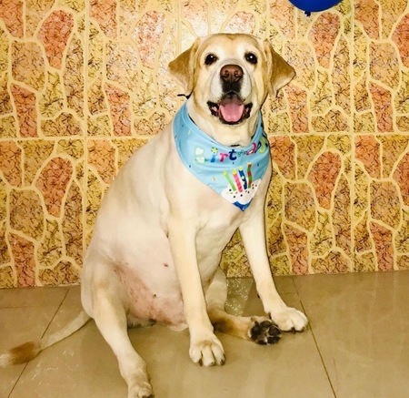 Entry image for Ethan. Clicking this image will show a larger photo