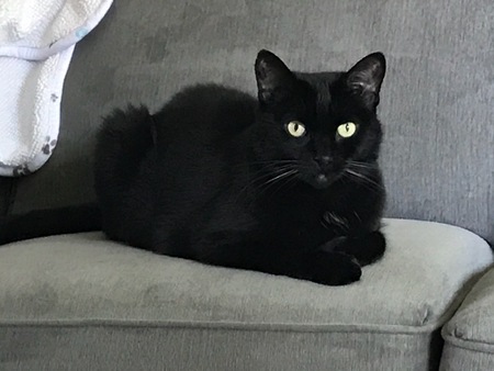 Entry image for Maggie Mae. Clicking this image will show a larger photo