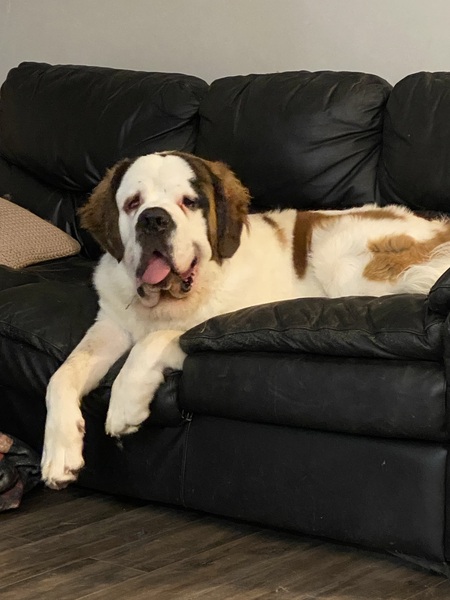 Entry image for Walter. Clicking this image will show a larger photo